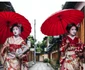 Japonia Foto Carmen Harau (5) jpg