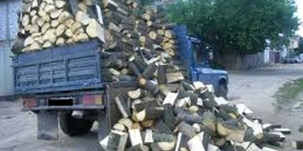 Cele mai multe sesizări vin din zona Corcova- Strehaia.Foto: Arhivă