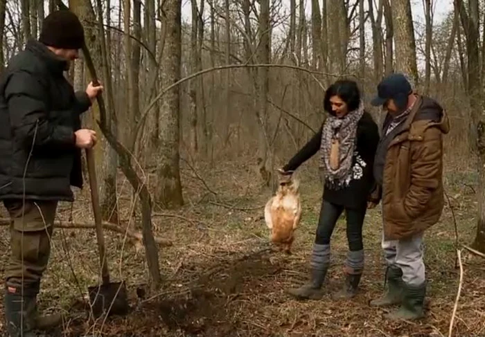 
    Augustin Viziru şi Iftimoaie au săpat groapa pentru cocoşul mort de la "Ferma Vedetelor"foto: captură Pro Tv  