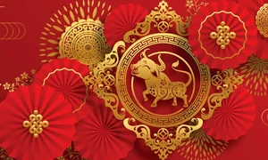 1 anul bivolului shutterstock jpg jpeg