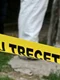 criminalisti politia nu treceti jpg