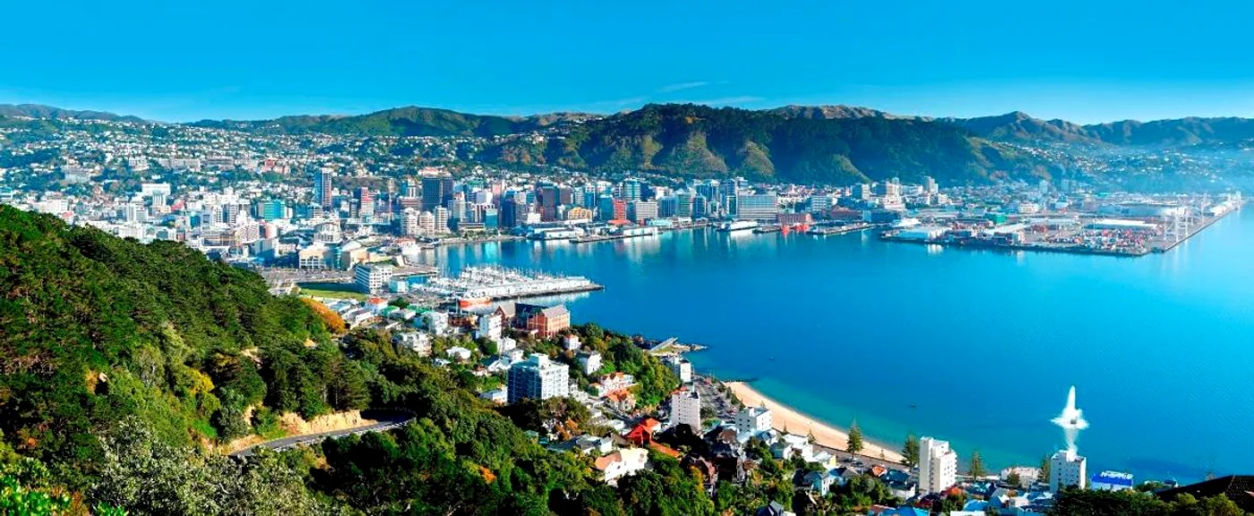 wellington jpg jpeg