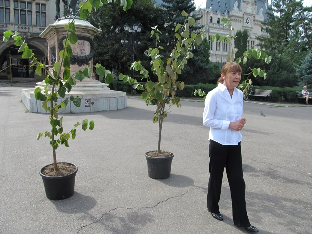 Monica Macovei a susţinut o conferinţă de presă în faţa Palatului Culturii FOTO jurnalvirtual.ro