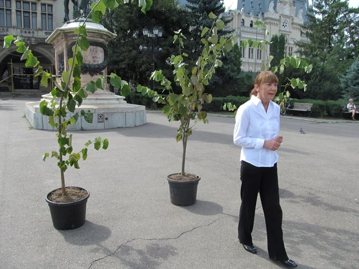 Monica Macovei a susţinut o conferinţă de presă în faţa Palatului Culturii FOTO jurnalvirtual.ro