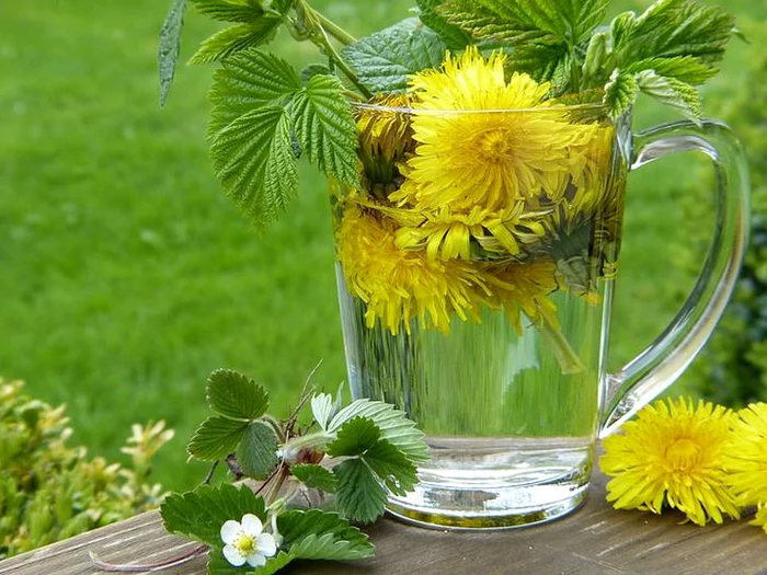 
    Remedii care alungă astenia de primăvară  