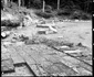 Sarmizegetusa Regia 1964  Foto Szabó Tamás, Muzeul Etnografic al Transilvaniei (45) jpg