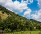 Valea Mare 6