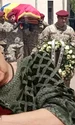 Banner Ileana Stana Ionescu