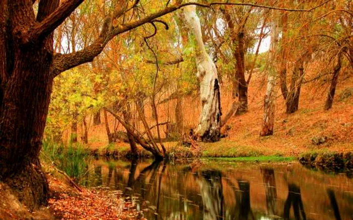 În următoarele două săptămâni vom avea parte de ploi puţine FOTO Arhivă Adevărul