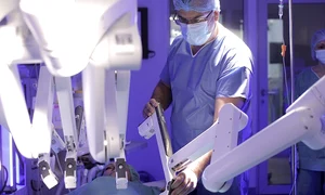 Dr  Buliga da Vinci XI (2) jpg