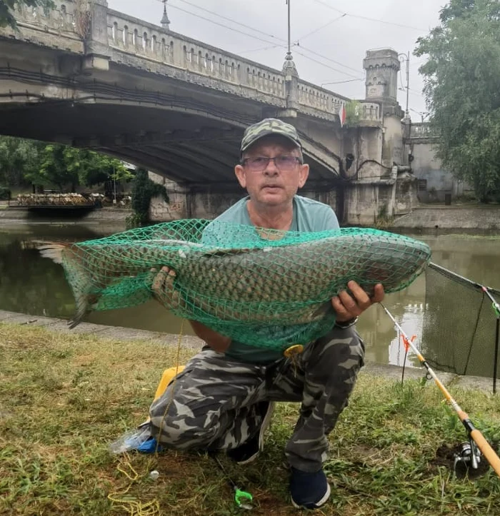 Pescarul prezintă captura din Bega FOTO Facebook/ Timișoara-oraș european