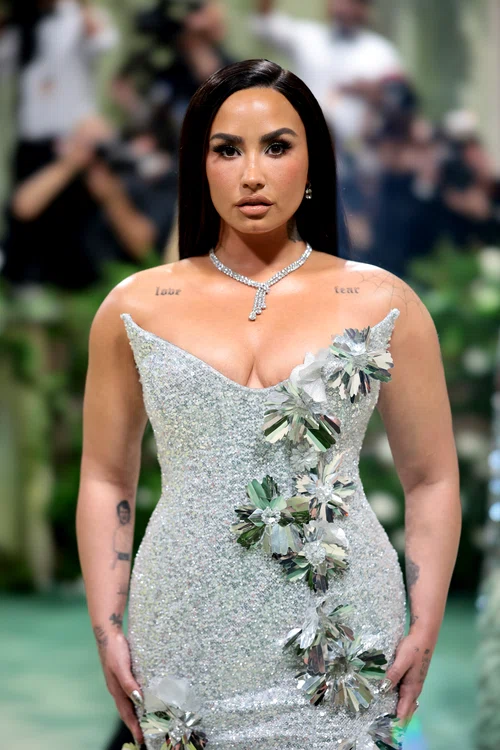 Așa arăta Demi Lovato anul trecut (Foto: GettyImages)