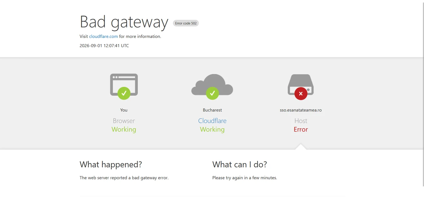 eroare bad gateway e-sanatatea mea