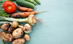 d812aac1 83aa 4d84 b21f 3812f2c61277 jpeg