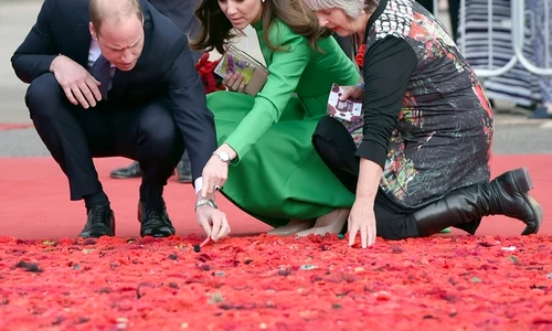 Kate și William au fost impresionați de expoziție jpeg