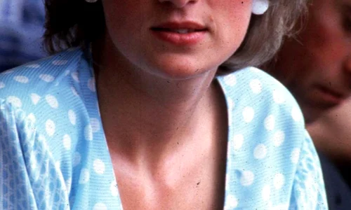 HRH PRINCESS DIANA   HRH Princess of Wales jpeg