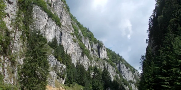 campanie arges