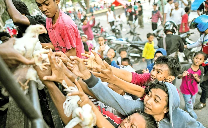 Supravieţuitorii se bat pentru mâncare