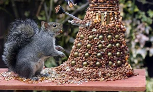 CLIIMA20140106 0062 1 jpeg