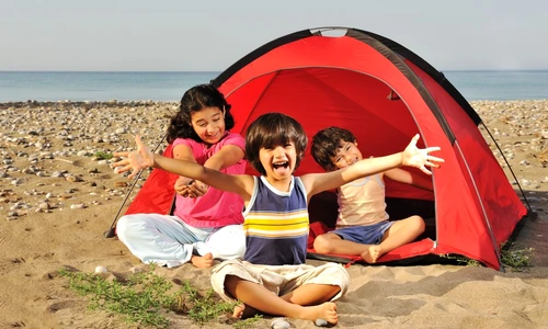 1 76173 original jpg jpeg