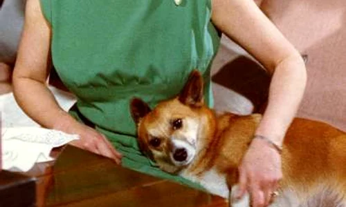 4d1eb3a4a63ae96f43df1575c00bf6a8 jpeg