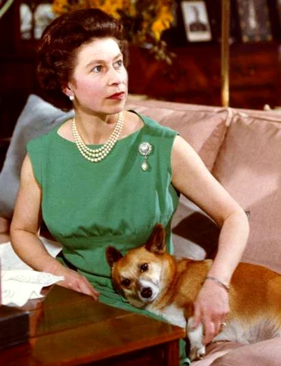 4d1eb3a4a63ae96f43df1575c00bf6a8 jpeg