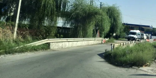Pod surpat Poiana Lacului Foto Alex Vlaicu jpg