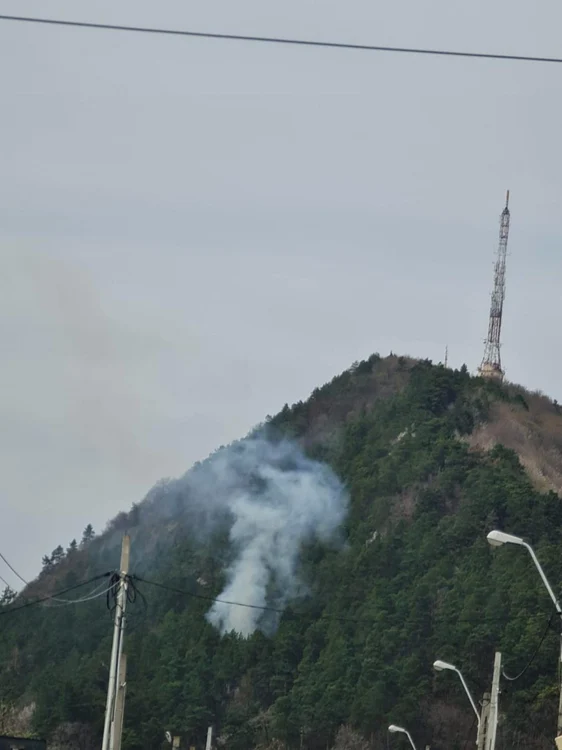 Pompierii au împiedicat propagarea flăcărilor la o suprafaţă mai mare FOTO ISU Neamţ