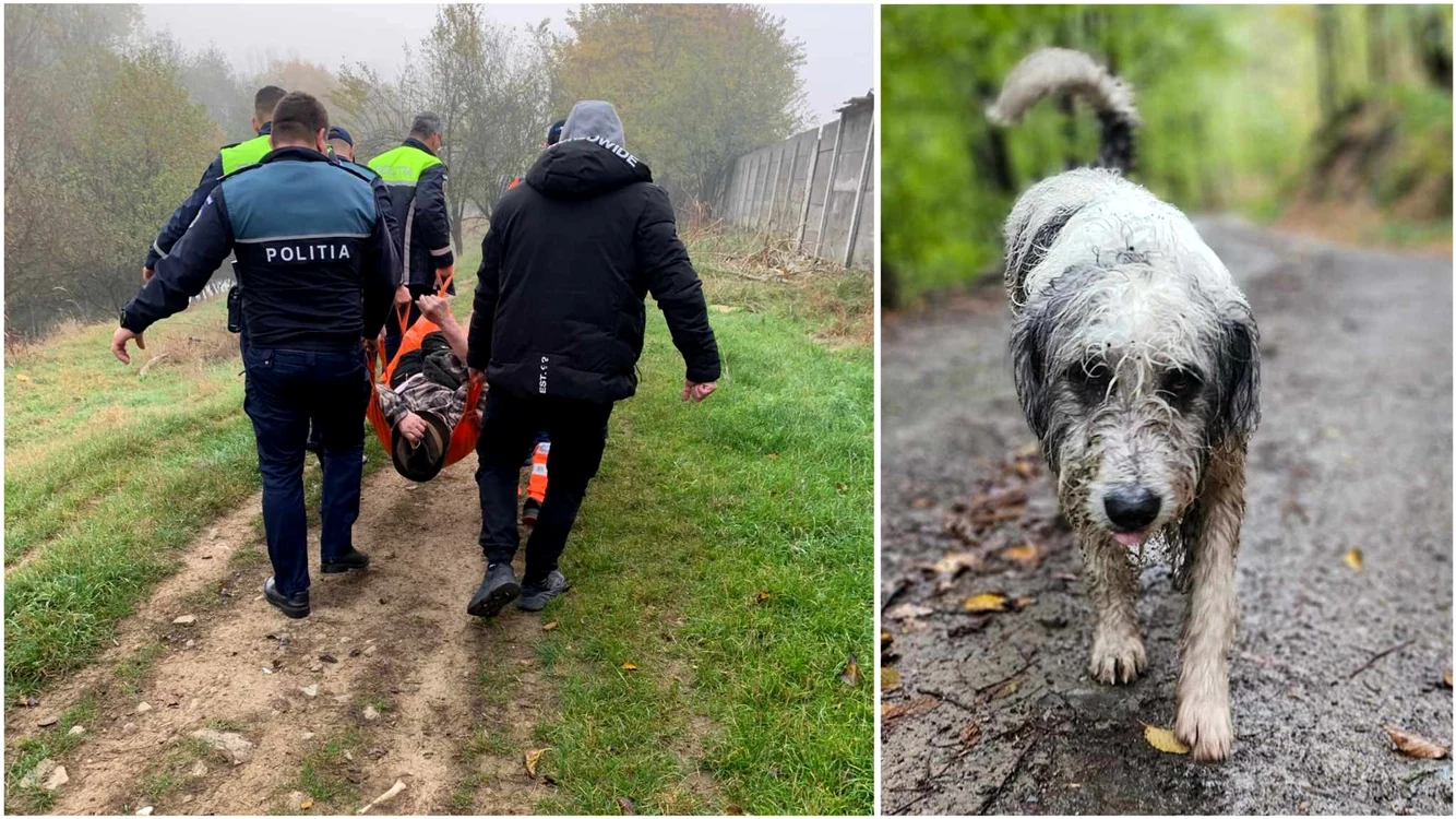 Un câine a salvat viața unui bărbat de 88 de ani. Foto: IPJ Hunedoara. arhiva Adevărul, Daniel Guță