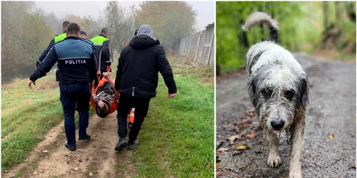 Un câina a salvat viașa unui om  Foto IPJ Hunedoara, arhivă Adevărul jpg