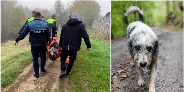 Un câina a salvat viașa unui om  Foto IPJ Hunedoara, arhivă Adevărul jpg