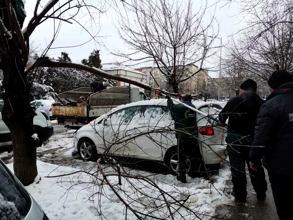 Crengile căzute sub greutatea zăpezii au pus probleme FOTO: Alina Mitran