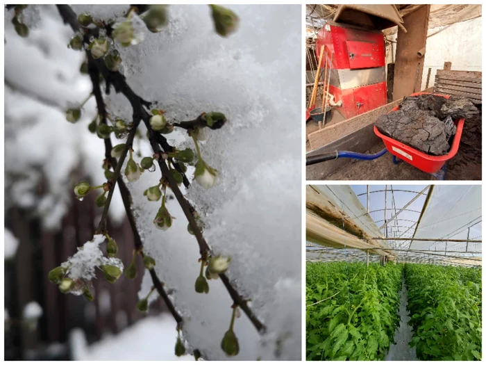 Zăpada de martie, mană cerească pentru unii, costuri mari pentru alții FOTO:colaj
