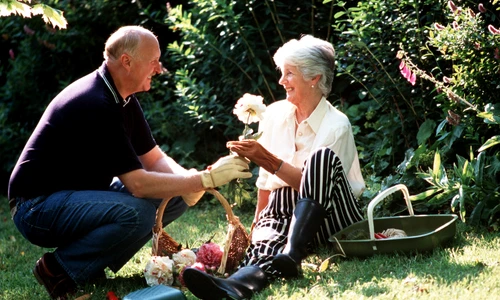 1 84093 original jpg jpeg