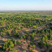 china impadurire/FOTO:X