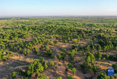 china impadurire/FOTO:X