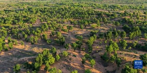 china impadurire/FOTO:X