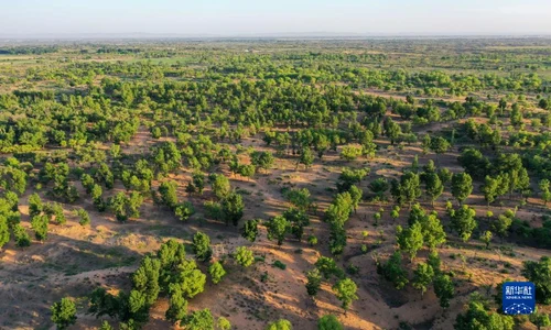 china impadurire/FOTO:X