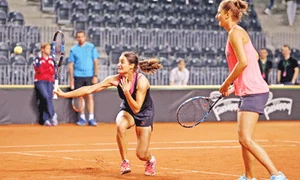 19 sport tenis fed cup gif
