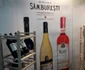 VinVest 2017 FOTO Ştefan Both