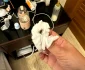 Turiștii români au găsit diverse insecte în camera de hotel