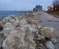 Faleza Cazinoului din Constanţa