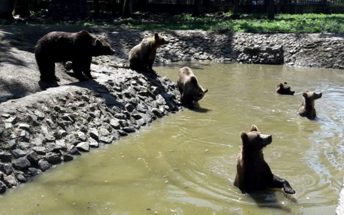 Grădina Zoologică din Timişoara FOTO Ş.Both