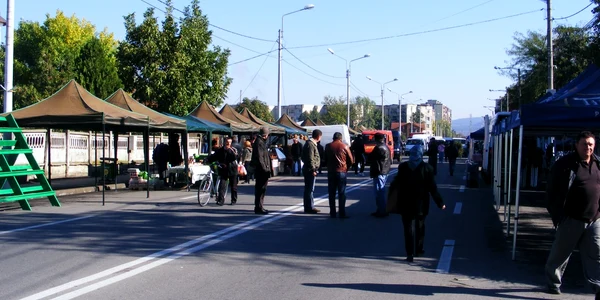 toamna severineana corturi