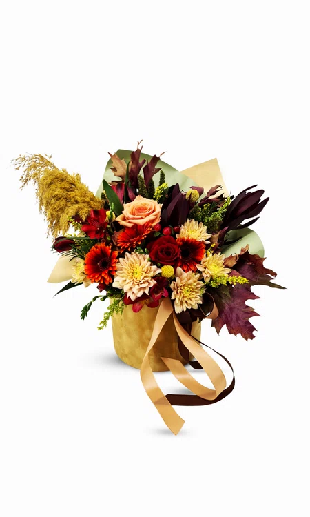 Floria 4 (1) png