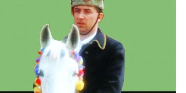Florin Nistor