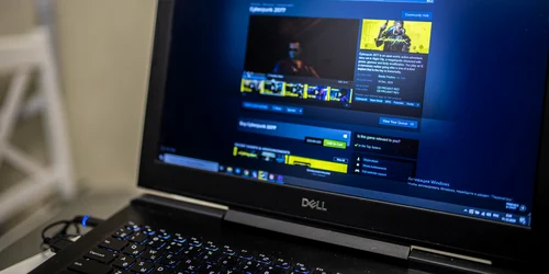 Cont pe platforma de jocuri Steam FOTO shutterstock 1871554237 jpg
