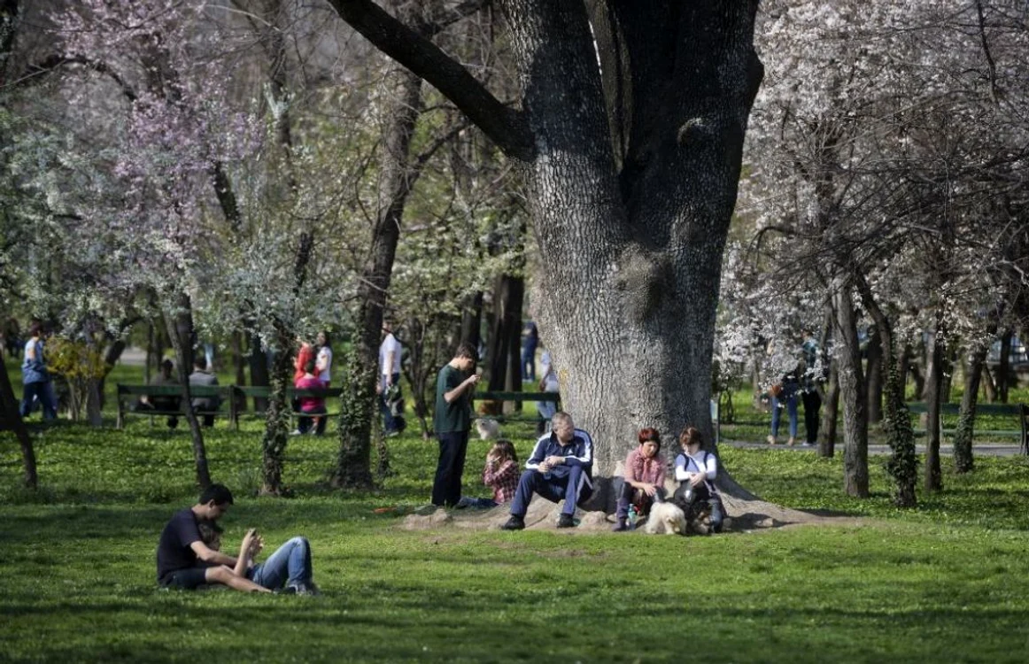 Parcul Cişmigiu din Bucureşti este cel mai vechi din oraş FOTO Arhivă