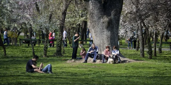 Curiozităţi despre Parcul Cişmigiu FOTO Mediafax 