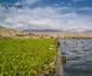 Soluţia pentru curăţarea lacurilor a fost găsită de un bărbat din Peru jpeg